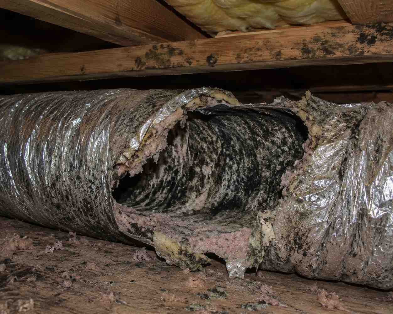 Air Damaged Ducts by mold